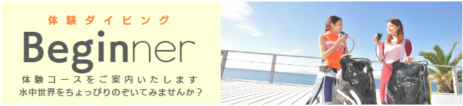 体験ダイビング