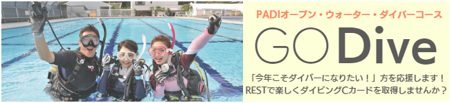 Cカート取得(OWDコース)