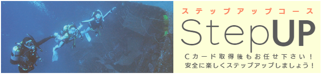 ステップアップコース