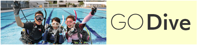 Cカート取得(OWDコース)