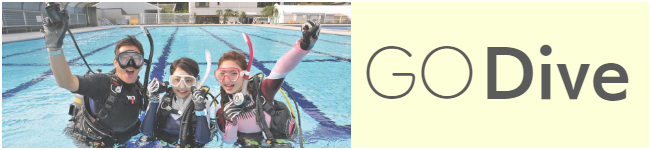 Cカート取得(OWDコース)